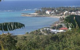 Villa Alizea